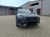 Cupra Formentor 2.0 TSI 228kW VZ 4Drive DSG VZ - Cupra Formentor von privat