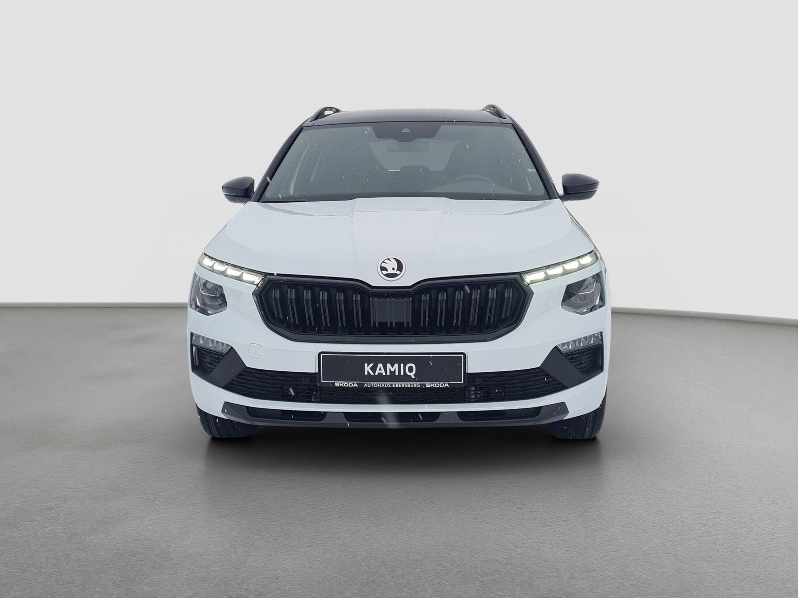 Skoda Kamiq - Bild 3