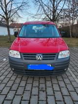 Volkswagen Caddy Life 1.4 5-Sitzer Standard - Volkswagen Caddy: Standard