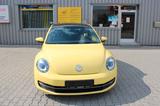 Volkswagen Beetle Lim. Design 1.6 TDi - Volkswagen Beetle: Gelb