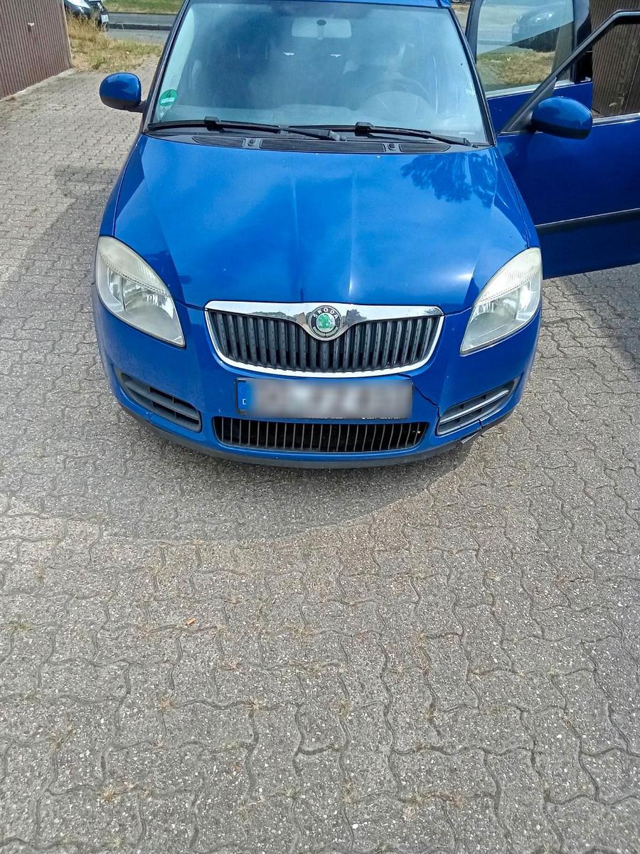 Skoda Roomster, 2007