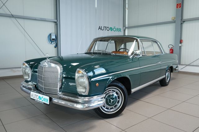 Abbildung des Autos