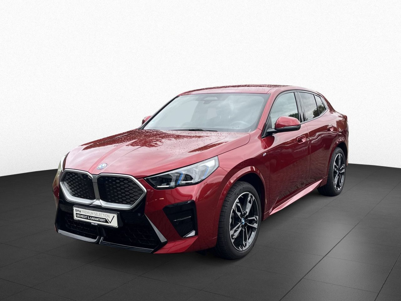 BMW iX2 xDrive30 Sportpaket HUD Navi LED Klima PDC foto 2