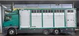 Mercedes-Benz Actros 2540 L Viehtransporter KABA Alu 1 Stock! - Offers