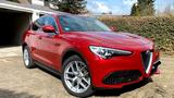 Alfa Romeo Stelvio 2.0 Turbo 16V 206kW Super AT8-Q4 Super - Alfa Romeo Stelvio von privat