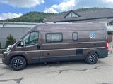 Knaus Boxstar 600 Street Indian Summer  - Knaus Kastenwagen