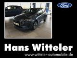 Ford Fiesta Titanium 1.0 EcoBoost Winterpaket/LED/PDC - mit Benzin-Antrieb: mit Android Auto, Kleinwagen, mit Klimaanlage