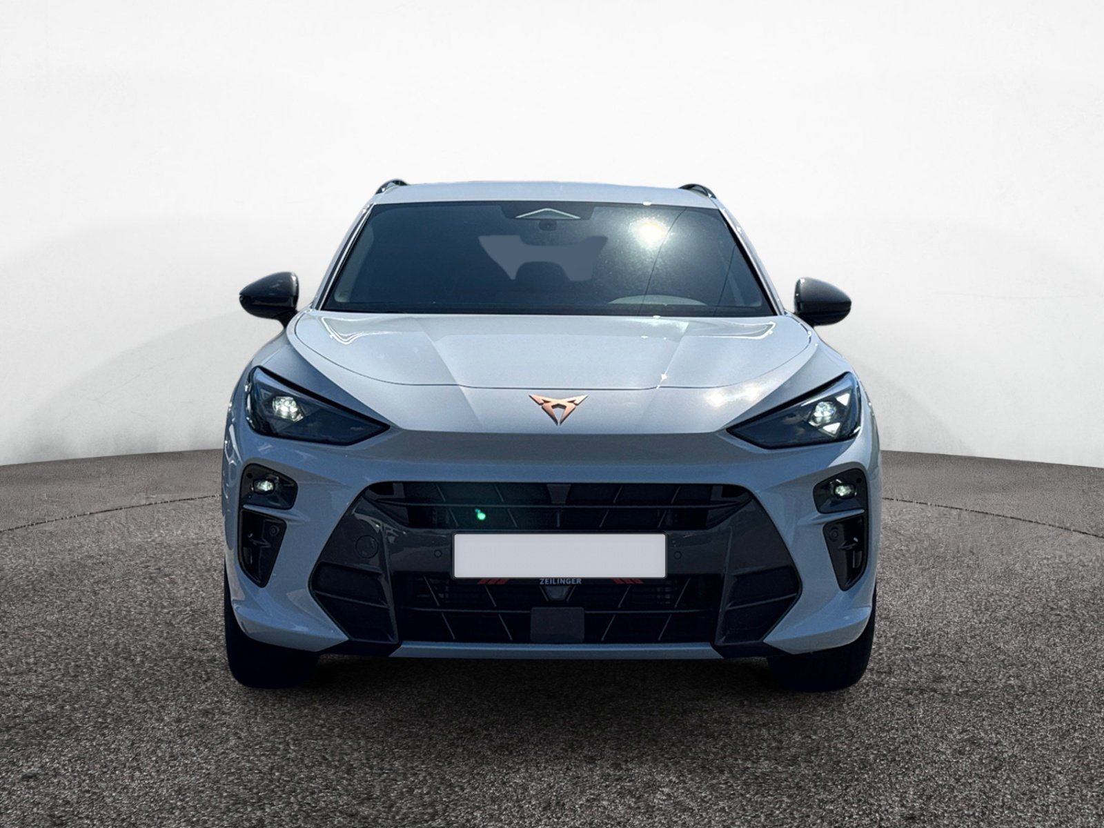 Cupra Terramar - Bild 3
