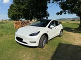 Tesla Model Y Hinterradantrieb RWD  - Tesla Model Y: Rwd