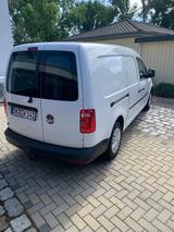 Volkswagen Caddy Maxi - Volkswagen Caddy Maxi in Halle