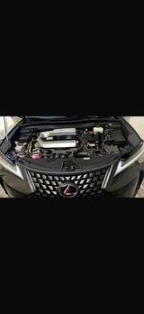 Lexus UX 250h Executive Line Executive Line - Lexus UX: Automatik