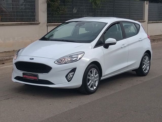 Ford Fiesta 1.5 EcoBlue 5 porte Business