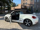 Volkswagen VW Beetle CABRIO - top gepflegt - Volkswagen Beetle: Cabrio
