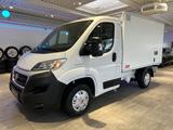Fiat Ducato 2,3 HDI Thermoking V300 MAX -30C.