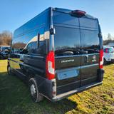 Fiat Ducato Hochr.-Kombi 33 130 L2H2  9 Sitze - Fiat Ducato: Sitze