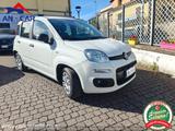 Fiat FIAT PANDA 1.2 Easypower GPL - Fiat Panda Cabrio Gebrauchtwagen