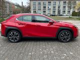 Lexus UX 250h Luxury Line AWD HUD Leder Mark Levinson - Lexus aus 2021