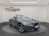 BMW 218d Cabrio Sport Line 1.HAND PDC XEN LED TEMP - BMW Gebrauchtwagen in Regensburg