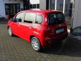 Fiat Panda 1.0 Hybrid 51kW/70PS, Klima, PDC, DAB - Fiat Panda: 5.5