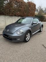 Volkswagen Beetle 1.2 TSI BMT CUP Cabriolet CUP - Volkswagen Beetle: Cup