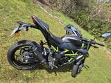 Kawasaki Z125 Performance - Arrow Auspuff, Top Zustand - KAWASAKI 125