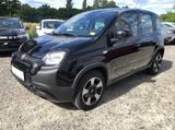 Fiat Panda (319) City Plus - gebrauchte Fiat Panda aus dem Jahr 2023