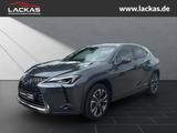 Lexus UX 250h Style Edition LED+ACC+CarPlay - Lexus aus 2022