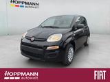 Fiat Panda Pop 1.0*KLIMA*PDC*RADIO*BLUETOOTH* - Fiat Panda: Pop