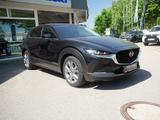 Mazda CX-30 2.5 e.SKYACTIV-G 140 6AT Takumi HUD 360° - Mazda CX-30 Takumi mit Benzin-Antrieb