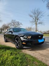 Ford Mustang V6, All-Black, unfallfrei - Ford Mustang aus 2011: V6