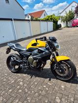 Yamaha XJ6 RN19   (Shark Komplettanlage) - YAMAHA R1 RN19