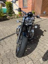 Triumph Speedmaster 1200 - TRIUMPH SPEEDMASTER