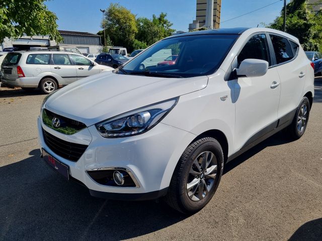 Hyundai ix35 FIFA World Cup Edition 2WD Klima Tüv Neu