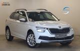 Skoda Kamiq 1.0TSI 110PS DSG Tour Keyless RCAM Virtual - Skoda Kamiq Gebrauchtwagen in Berlin