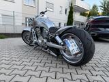 Harley-Davidson Night Rod / V ROD 280er,Airride,Gewährleistung - Offers