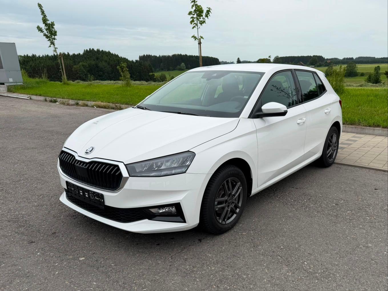 Skoda Fabia Selection