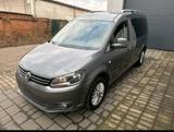 Volkswagen Caddy Maxi Cup*7 Sitzer* - Volkswagen Caddy Maxi: Cup