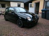 Volkswagen VW Lupo 1,4 16V 101 PS Leder - Volkswagen Lupo: 16v