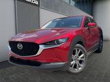Mazda CX-30 e-SKYACTIV-X 186 FWD 6AT TAKUMI SUNROOF - Mazda CX-30 Takumi mit Hybrid-Antrieb (Benzin/Elektro)