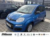 Fiat Panda ICON Hybrid 1.0 GSE KLIMA PDC TEMPOMAT - Fiat Panda: Allradantrieb