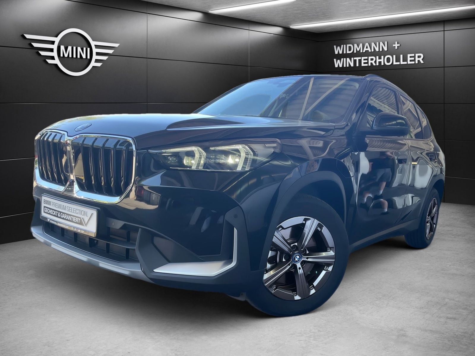 BMW X1 xDrive25e HUD LC Prof. DA adapt. LED H K foto 1