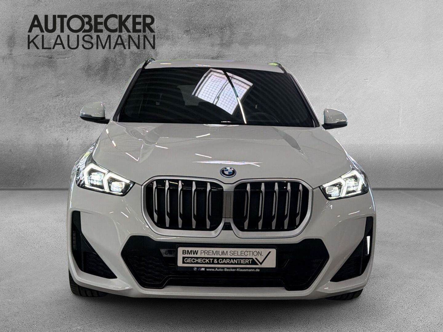 BMW X1 xDrive30e M Sport 18''LC PROF HuD AHK 360°PAR foto 5
