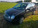 Volkswagen VW Polo 1.4 FSI. 2004 - Volkswagen Polo: Fsi