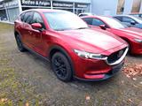 Mazda CX-5 SKYACTIV-D 184 AWD 6AG SPORTS LEDER-S TEC-P - Mazda: Cx6