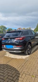 Opel Grandland (X) 1.2 Turbo 96kW Innovation Auto... - Opel Grandland (X) in Braunschweig