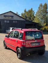 Fiat Panda 1.1 8V Active - Fiat Panda mit Benzin-Antrieb