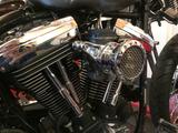 Harley-Davidson Springer Costumbike EVO  - HARLEY-DAVIDSON 1999