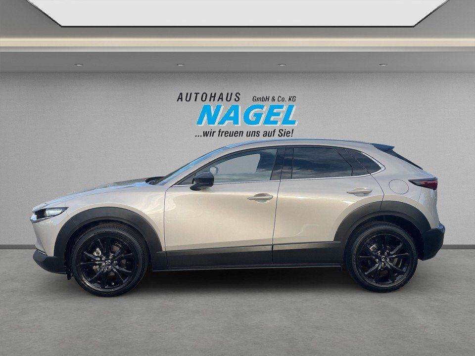 Mazda CX-30 - Bild 4