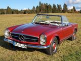 Mercedes-Benz 230 SL - Mercedes-Benz 230: Cabrio