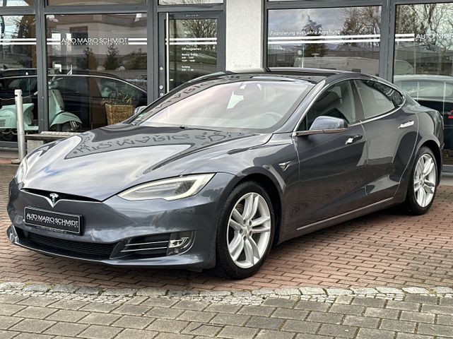 Tesla Model S Long Range Plus Autopilot Raven Panorama